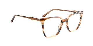 Women | Shiny Brown | Acetate Glasses - MX9050-2